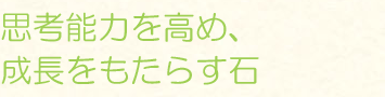 思考能力を高め、成長をもたらす石