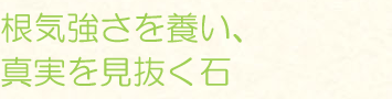 根気強さを養い、真実を見抜く石