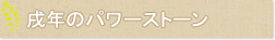 戌年のパワーストーン