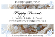 「15周年記念プレゼント企画」 5,000円以上お買い上げの方に パワーストーンリングプレゼント