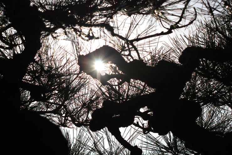 「勇往邁進」タイガータイチンルチルクォーツブレスレットのイメージ画像３