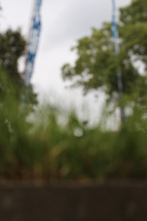 宝珠2026「プルート」最高品質クロムダイオプサイドブレスレットのイメージ画像２８