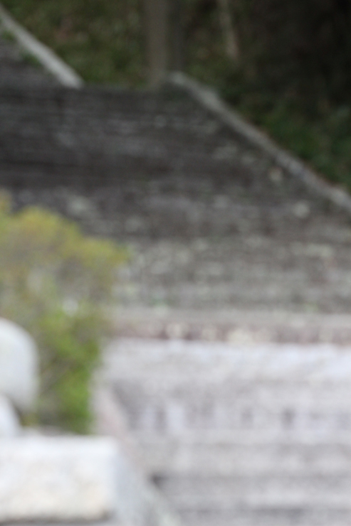 宝珠2026「プルート」最高品質クロムダイオプサイドブレスレットのイメージ画像３３