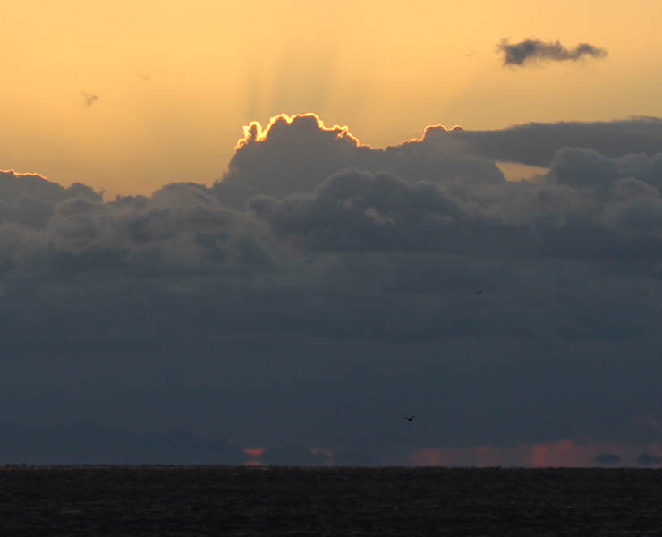 宝珠2026「プルート」最高品質クロムダイオプサイドブレスレットのイメージ画像４４