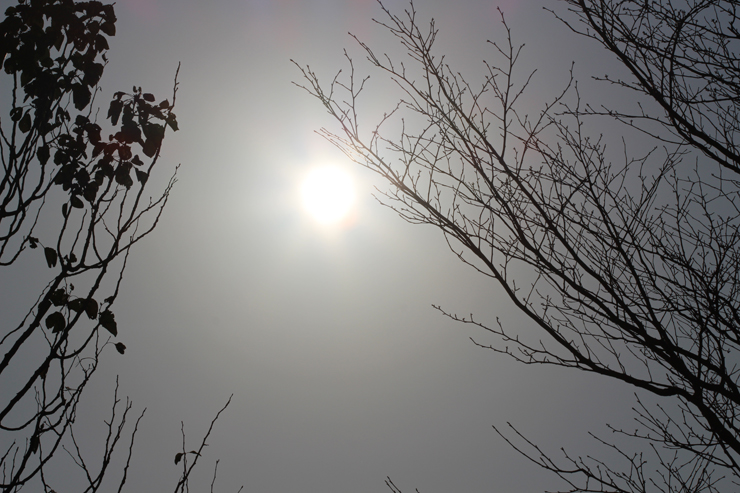 宝珠2026「プルート」最高品質クロムダイオプサイドブレスレットのイメージ画像６７