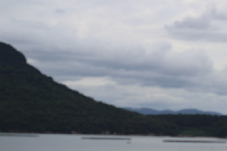 宝珠2026「プルート」最高品質クロムダイオプサイドブレスレットのイメージ画像９