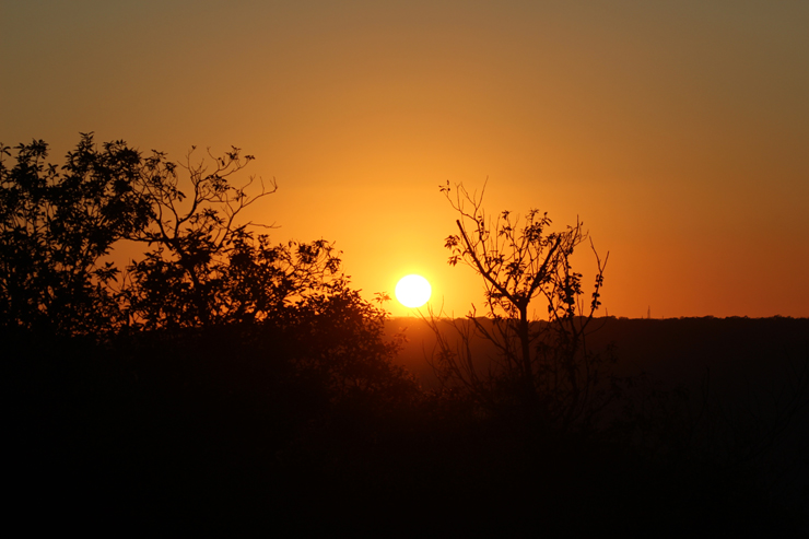 宝珠2026「ウラノス」最高品質ピンクサファイアブレスレットのイメージ画像３６