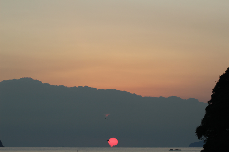 宝珠2026「ウラノス」最高品質ピンクサファイアブレスレットのイメージ画像４６