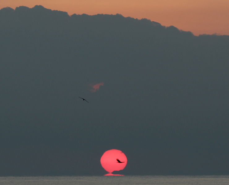 宝珠2026「ウラノス」最高品質ピンクサファイアブレスレットのイメージ画像４８