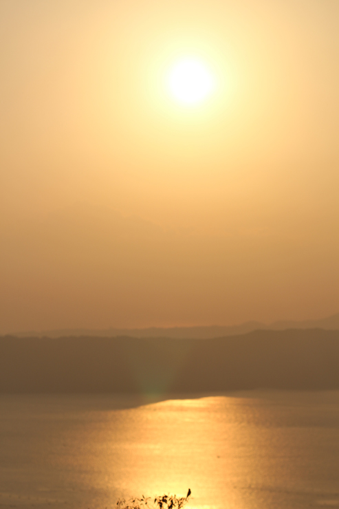 宝珠2026「ウラノス」最高品質ピンクサファイアブレスレットのイメージ画像５３